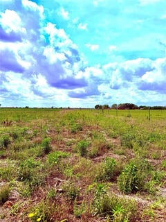 /international/us/4421-polak-rd-orchard-tx-110107336927/