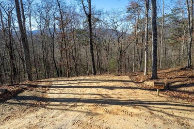 /international/us/osprey-mountain-way-lot-3-sylva-nc-110106948457/