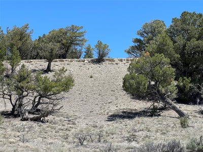 /international/us/tbd-buena-vista-road-tierra-amarilla-nm-110091963622/