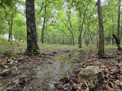/international/us/golf-course-road-marshfield-mo-110109080208/