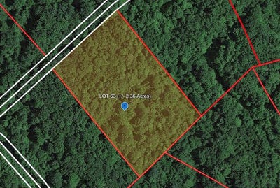 /international/us/122-gerber-daisy-trail-bragg-wv-110103326673/