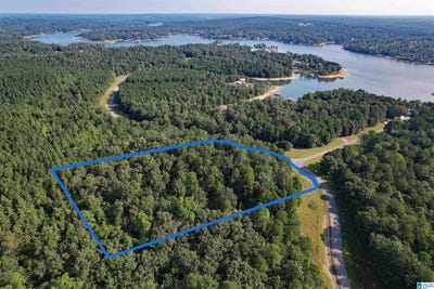 /international/us/221-stoney-point-road-lot-221-122-double-springs-al-110109165793/