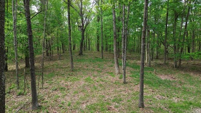 /international/us/694a-tunnel-ridge-road-argillite-ky-110107586688/