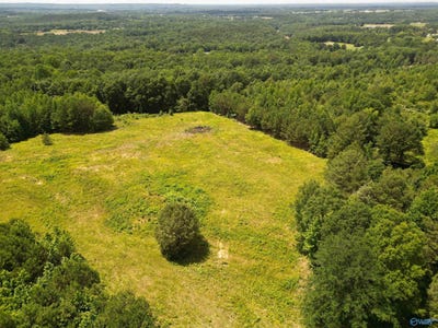 /international/us/525-overlook-road-blountsville-al-110100159731/