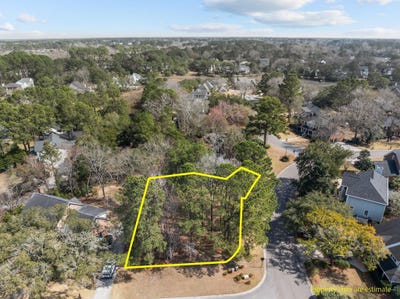 /international/us/501-chimney-bluff-drive-mount-pleasant-sc-110097828523/