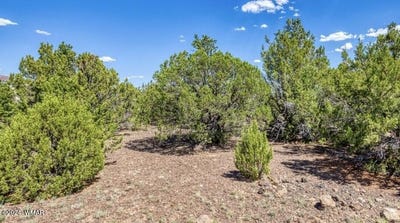 /international/us/84-county-rd-3133-vernon-az-110094428209/