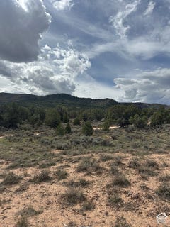 /international/us/fruitland-ut-110110361718/