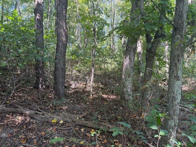 /international/us/mount-tabor-road-staunton-va-110110343757/