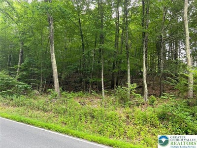 /international/us/31-faber-circle-pocono-twp-pa-110099046568/?lang=zh-cn