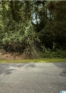 /international/us/woodside-street-lot-37-childersburg-al-110104340898/