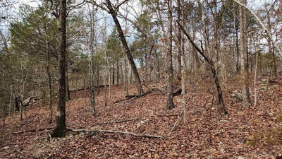 /international/us/kingsway-circle-lot-36-bull-shoals-ar-110105630214/