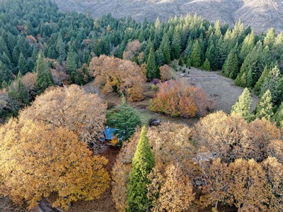 /international/us/1480-bridge-lane-wolf-creek-or-110106155778/