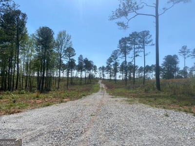 /international/us/lot-3-giles-road-forsyth-ga-110100127835/?lang=en
