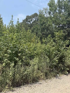 /international/us/gamble-lane-lot-10-carlisle-ar-110119467061/