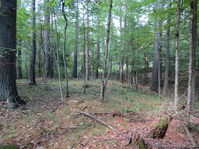 /international/us/38-algonquin-lane-jay-ny-110108437220/