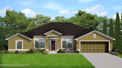/international/us/11189-roland-street-spring-hill-fl-110106276354/