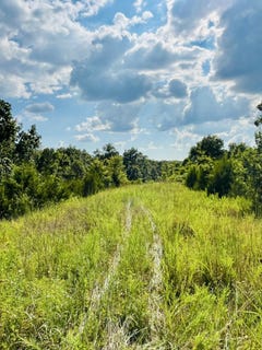 /international/us/county-line-road-columbia-ky-110101507968/