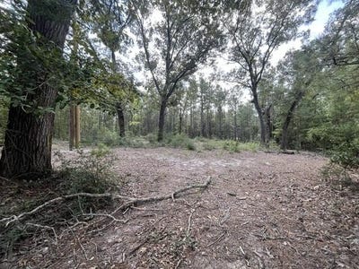 /international/us/15866-red-oak-drive-brookeland-tx-110119303528/