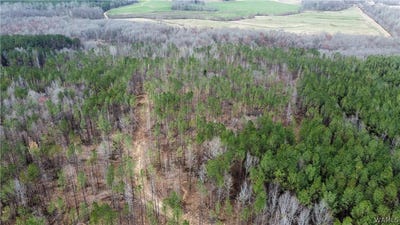/international/us/1-new-hope-road-kennedy-al-110107939896/