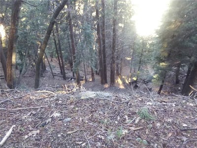 /international/us/0-el-valle-cedarpines-park-ca-110039602958/?lang=zh-tw