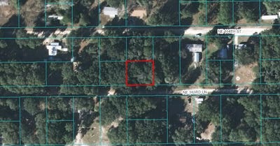 /international/us/00-ne-163rd-lane-citra-fl-110063776305/