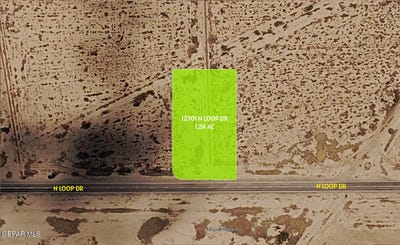 /international/us/12701-north-loop-drive-clint-tx-110110268210/
