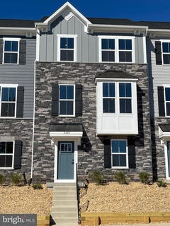 /international/us/4040-purple-flora-bnd-charlottesville-va-110108437100/