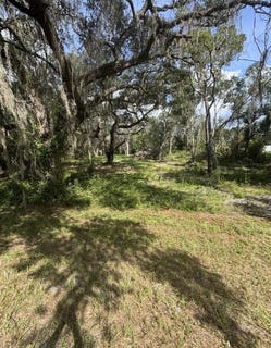 /international/us/1014-ne-hwy-353-old-town-fl-110120087988/