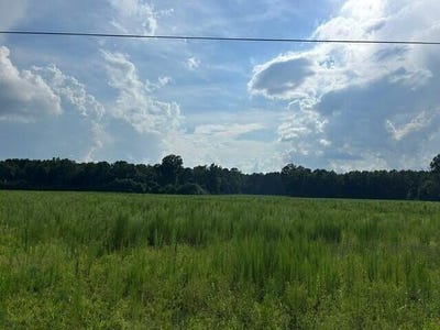 /international/us/7-mile-road-lot-3-harleyville-sc-110109702067/