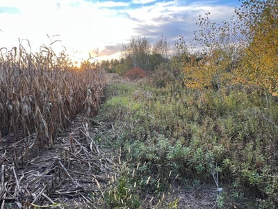/international/us/holly-rd-pine-city-mn-110120154407/