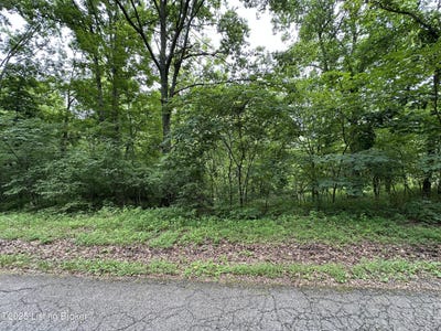 /international/us/lot-0-lakeview-dr-bloomfield-ky-110100890965/