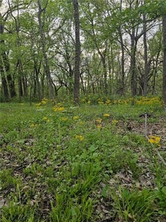/international/us/305-309-e-sugar-lake-drive-mound-city-ks-110099014203/