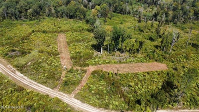 /international/us/5-highway-35-walnut-grove-ms-110105311614/