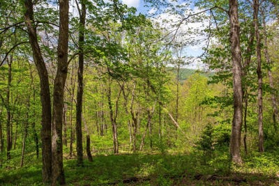 /international/us/church-mountain-ln-fulks-run-va-110107781454/