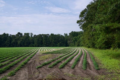 /international/us/2030-risher-street-luray-sc-110101094801/