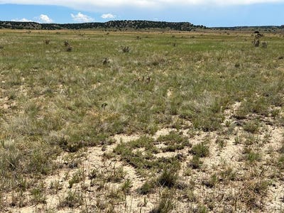/international/us/outback-ranch-lot-4-model-co-110100702516/