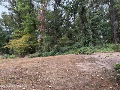 /international/us/11287-beechwood-ridge-cove-lot-118-hernando-ms-110120886171/