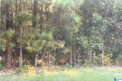 /international/us/0-water-oak-lane-talladega-al-110101070221/?lang=zh-tw