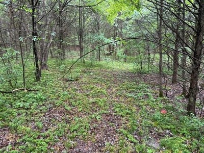 /international/us/08-teeters-rd-lot-8-morrison-tn-110108474981/