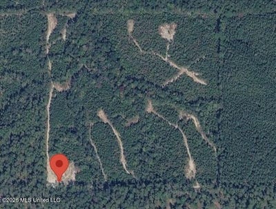 /international/us/40-acres-forestry-road-356-beaumont-ms-110107827657/