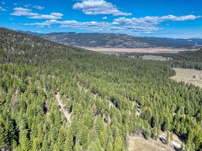 /international/us/2263-truman-heights-kila-mt-110098980872/