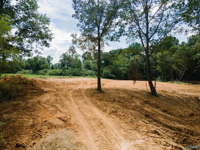 /international/us/1717-county-road-1579-baileyton-al-110100723416/?lang=zh-tw