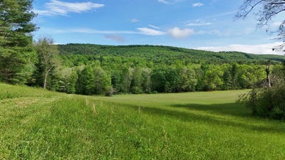 /international/us/144-ac-moncove-lake-road-gap-mills-wv-110109039226/