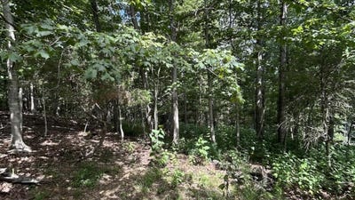 /international/us/1820-mountainside-drive-blacksburg-va-110101424823/?lang=es