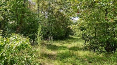 /international/us/cowart-road-hayesville-nc-110110338169/