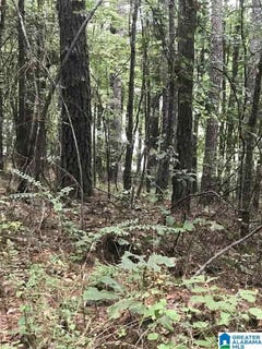 /international/us/lakeside-lane-lot-21-alpine-al-110100417865/