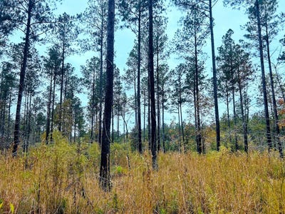 /international/us/592-andrew-caldwell-road-tract-2a-lexington-ga-110103269956/