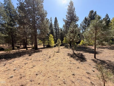 /international/us/highway-97-chiloquin-or-110120516386/