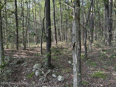 /international/us/bellasylva-road-forkston-pa-110119759024/