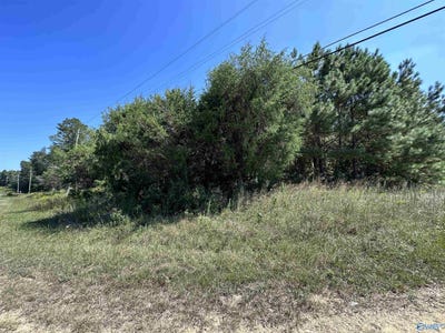 /international/us/3-2-acres-hwy-35-hamilton-al-110089437245/